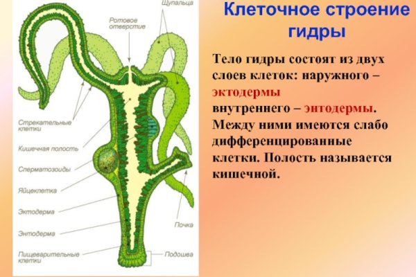 Кракен питер