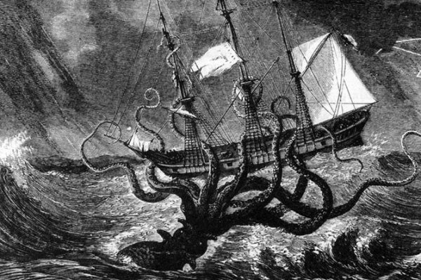 Kraken 20at