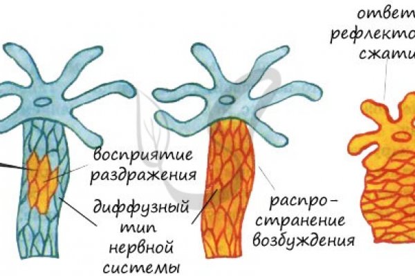 Кракен 2kr pro